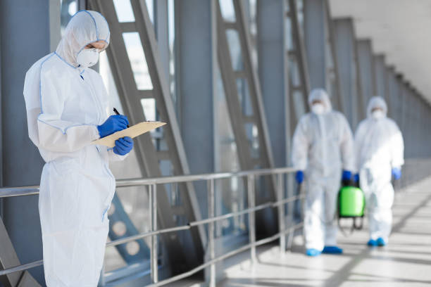 Best Mold Damage Restoration  in Honeyville, UT