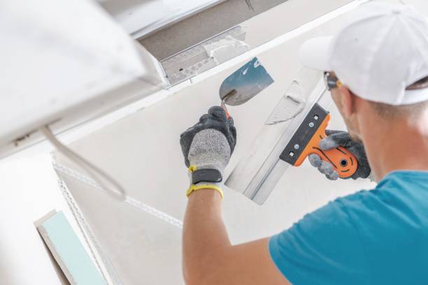 Best Black Mold Removal  in Honeyville, UT